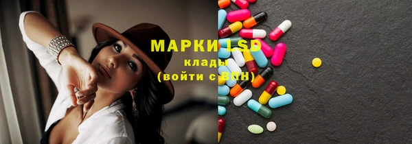 хмурый Осинники