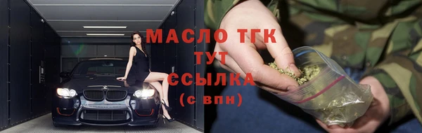 хмурый Осинники