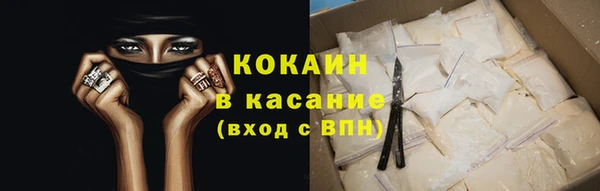 хмурый Осинники