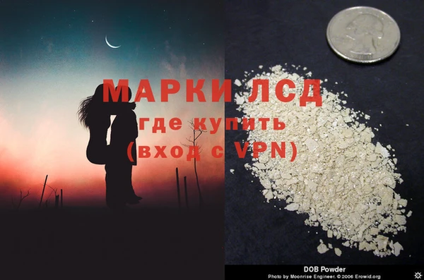хмурый Осинники