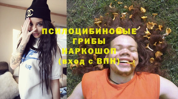 хмурый Осинники