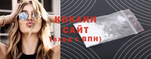 хмурый Осинники